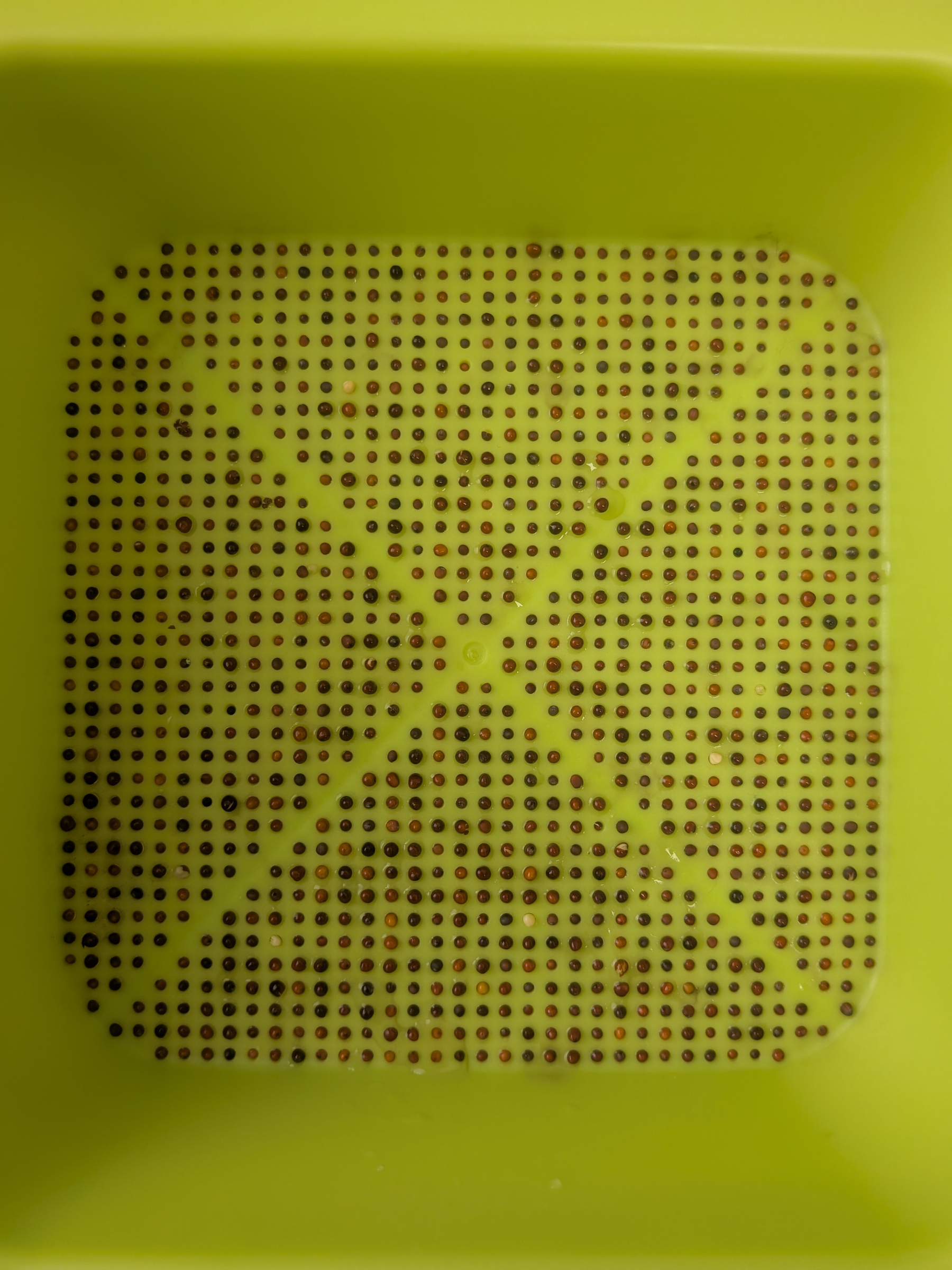 A green plastic colander with a perforated base is depicted.
